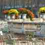 504