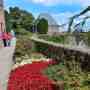 334