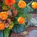 P3500596